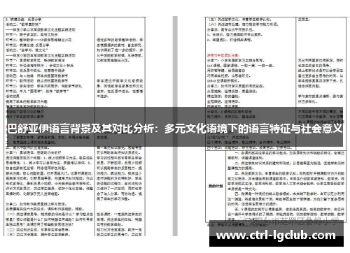 巴舒亚伊语言背景及其对比分析：多元文化语境下的语言特征与社会意义