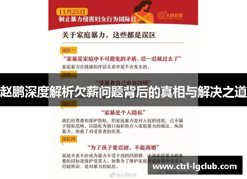 赵鹏深度解析欠薪问题背后的真相与解决之道