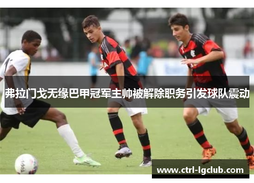 弗拉门戈无缘巴甲冠军主帅被解除职务引发球队震动