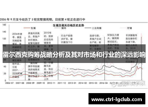 雷尔西克购筹战略分析及其对市场和行业的深远影响